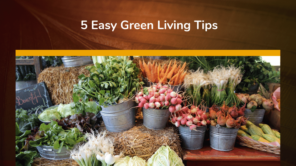 5 Easy Green Living Tips