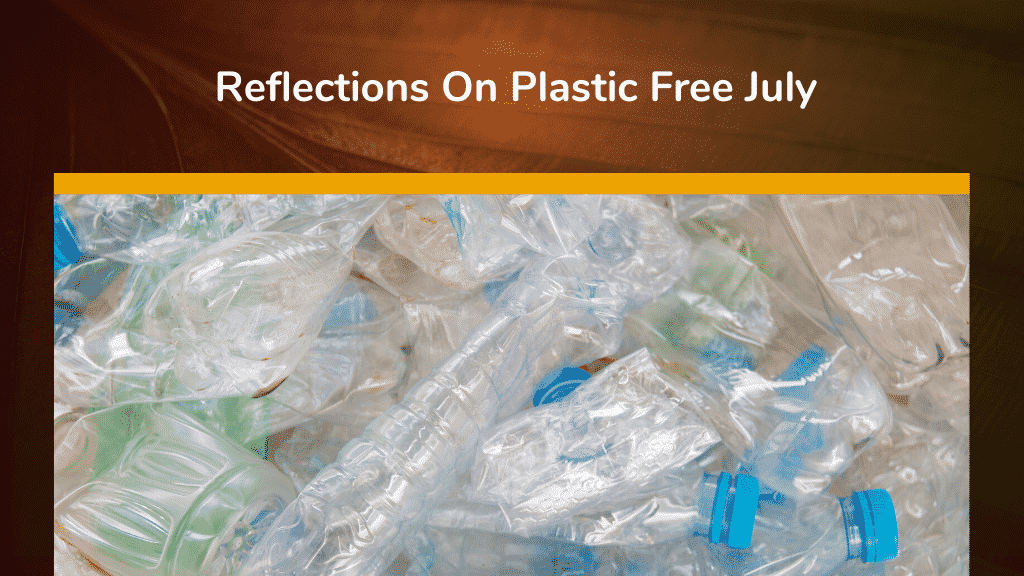 Reflections On Plastic Free July