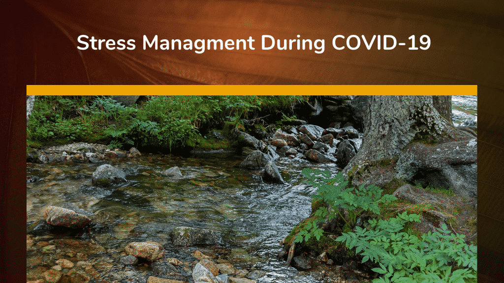 Stress Management During COVID 19