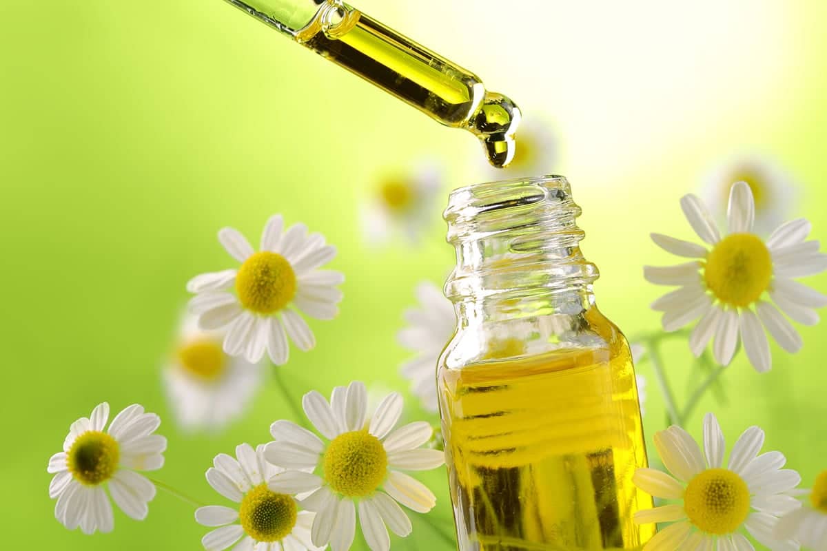 Introduction to aromatherapy online aroma 101 achs edu