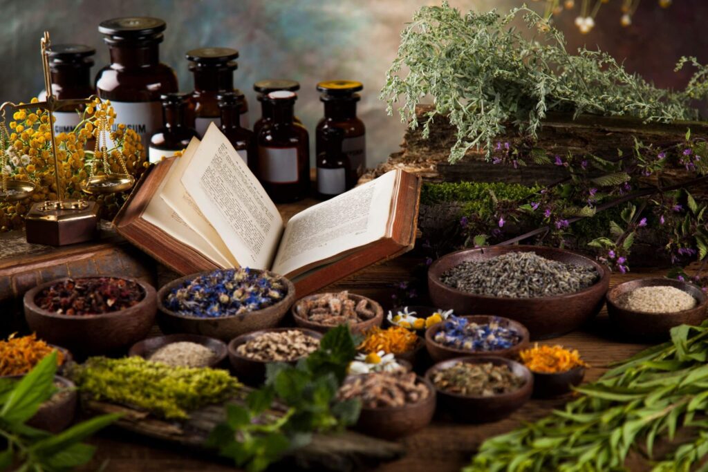 HLTH 202 History of Health and Healing online course