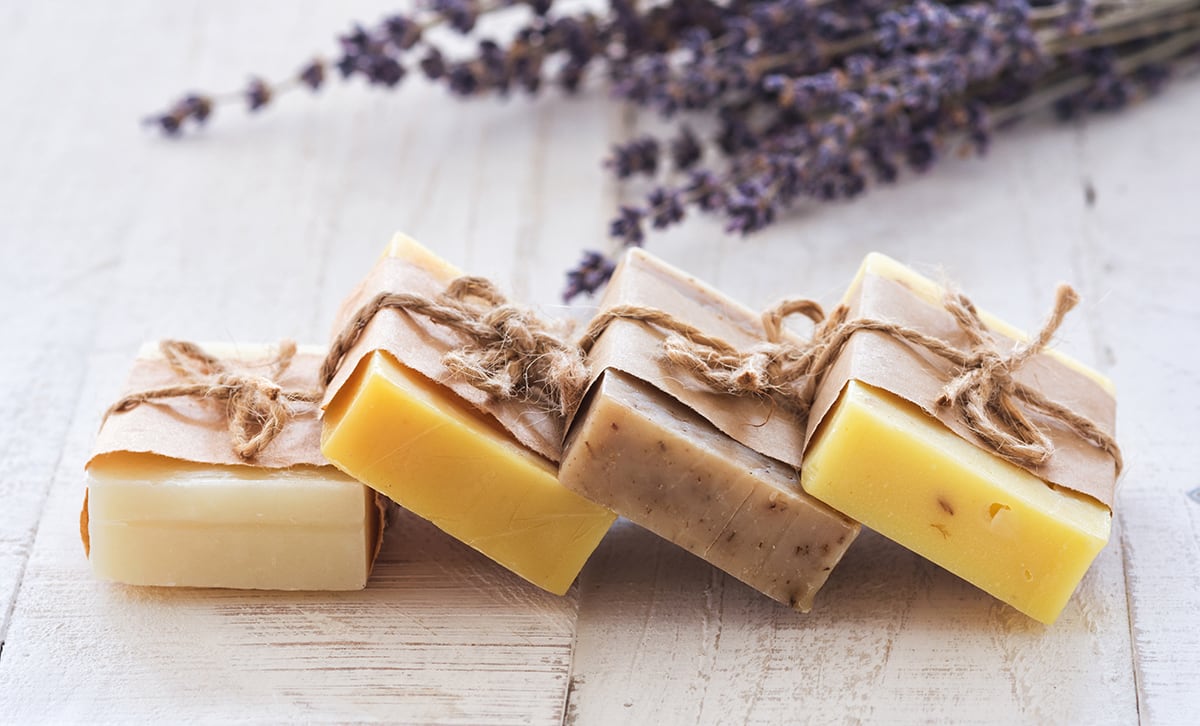 Nutrition Bodycare Herbalism Online NAT 101 ACHS edu