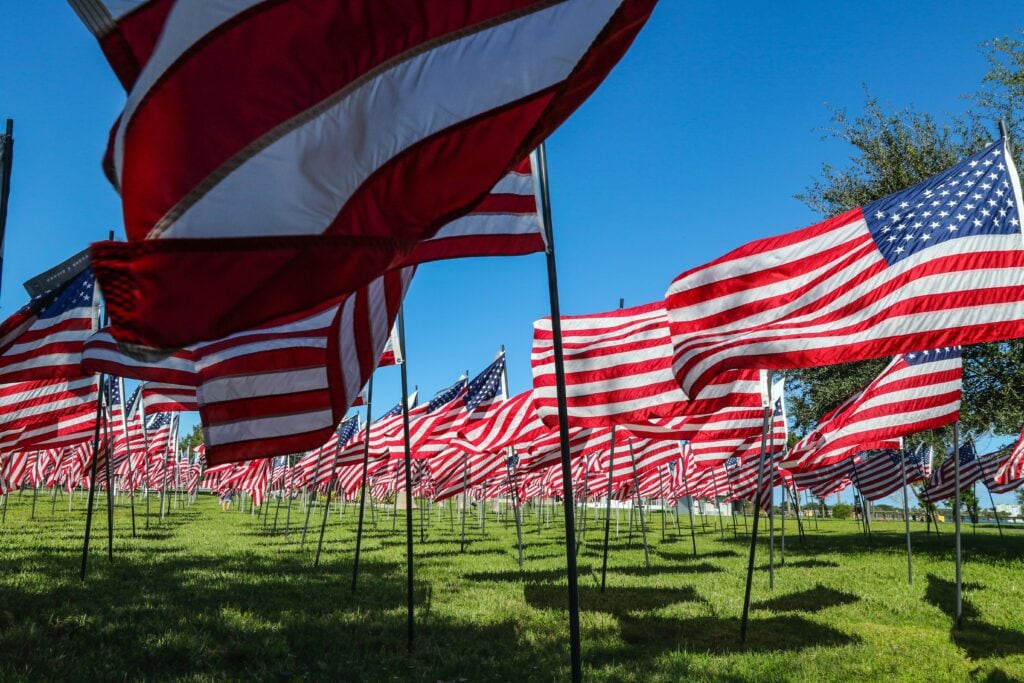 usa flags