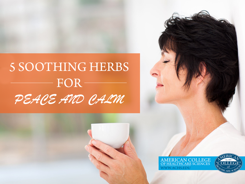 5 Soothing Herbs for Peace and Calm