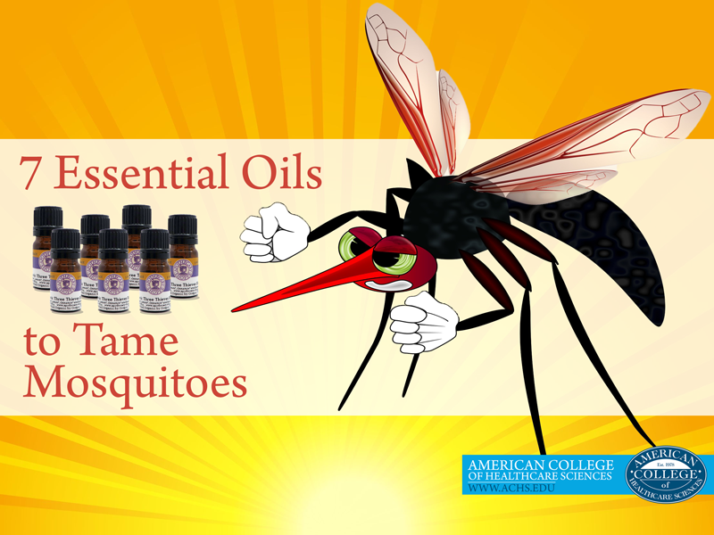 7 Essential Oils to Tame Mosquitoes