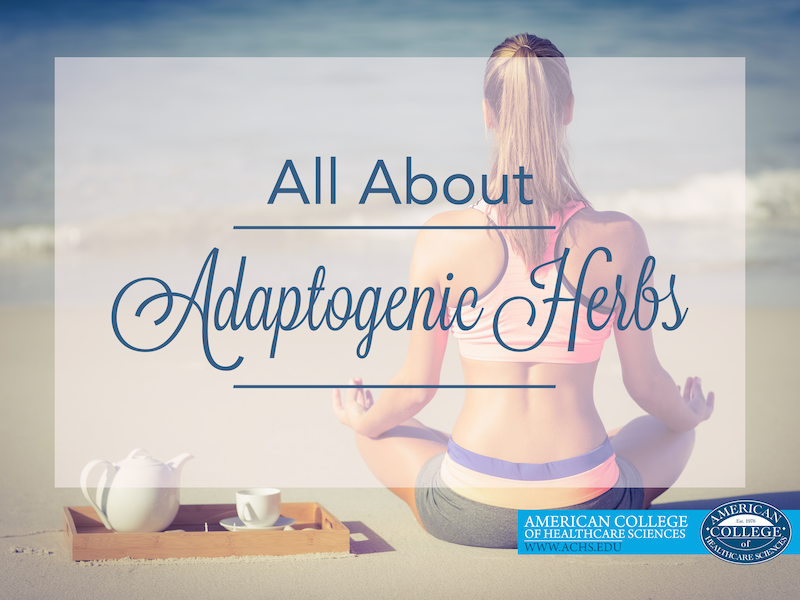 All About Adaptogenic Herbs