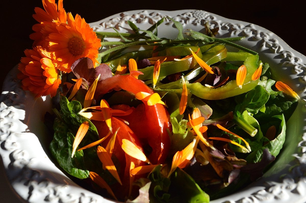 Calendula in salad