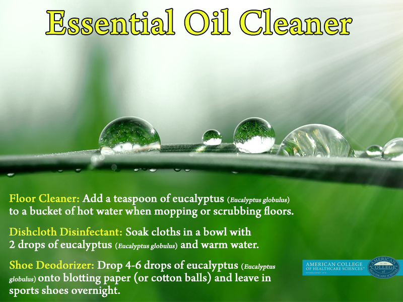 Eucalyptus Essential Oil Cleaner
