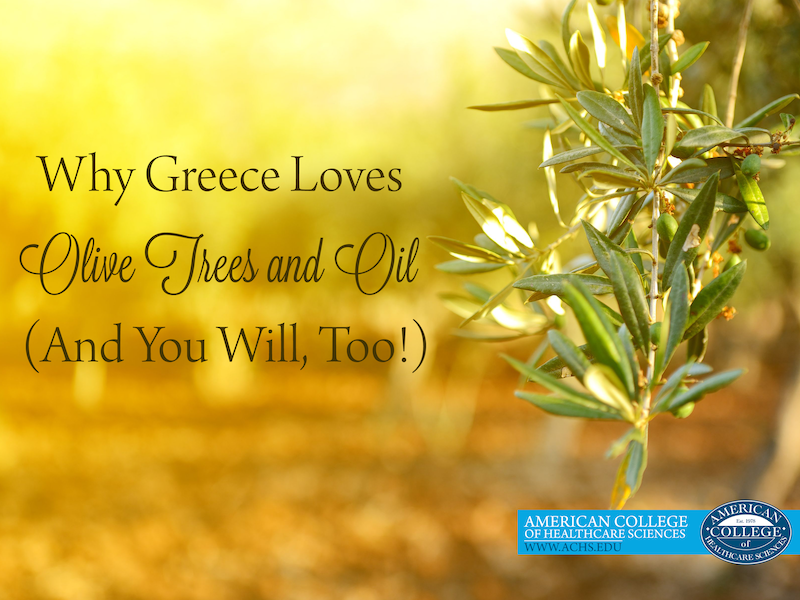 Why Greece Loves Olive Trees and Oil (And You Will, Too!)