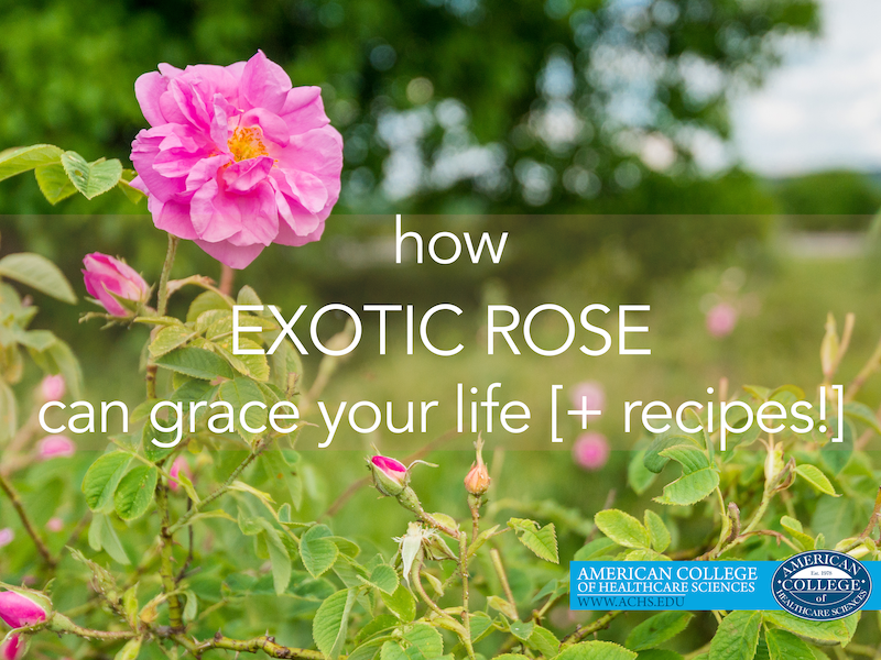 How Exotic Rose Can Grace Your Life