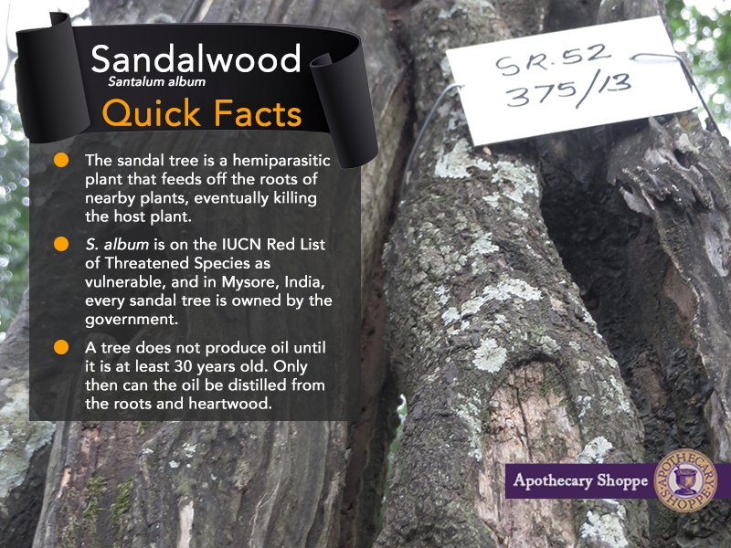 Facts About Sandalwood