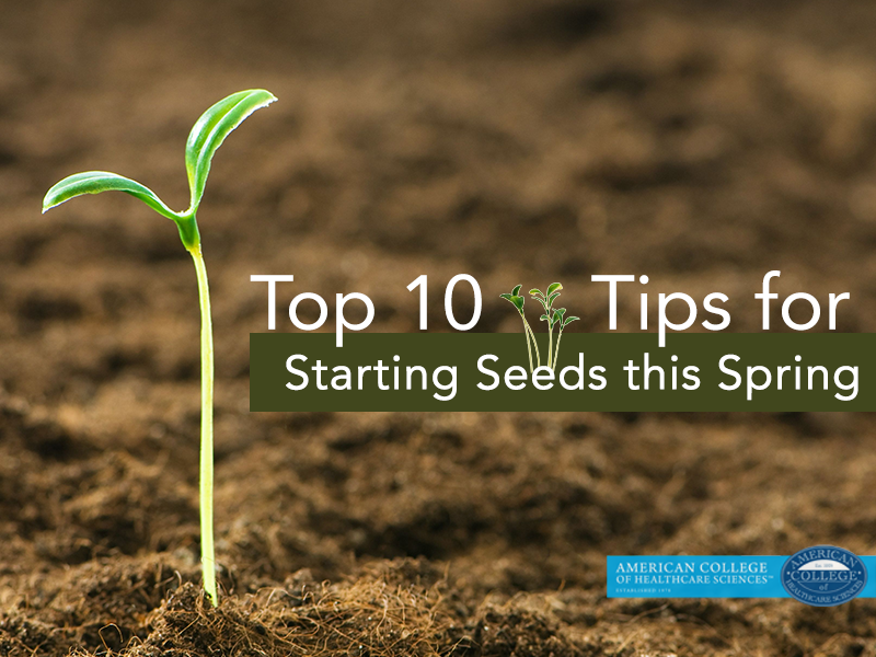 Top 10 Tips for Starting Seeds this Spring