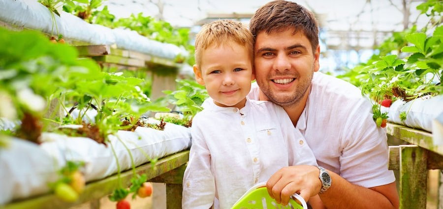 Father and son in herb garden
