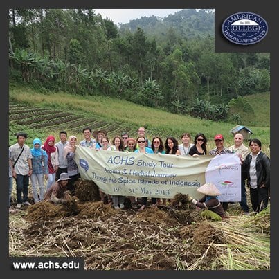 aromatic indonesia study abroad