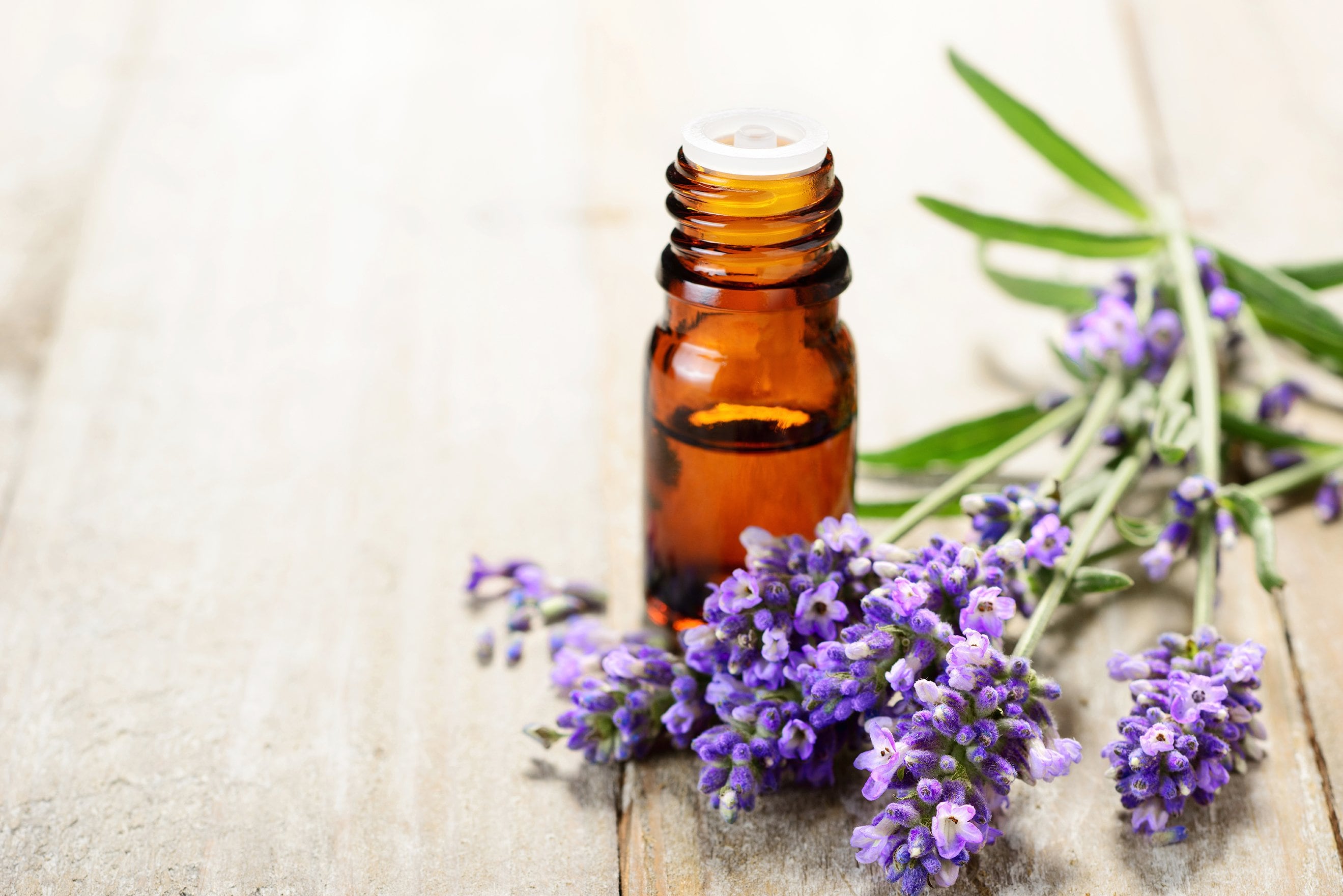 lavender-essential-oil-bottle-with-cut-lavender