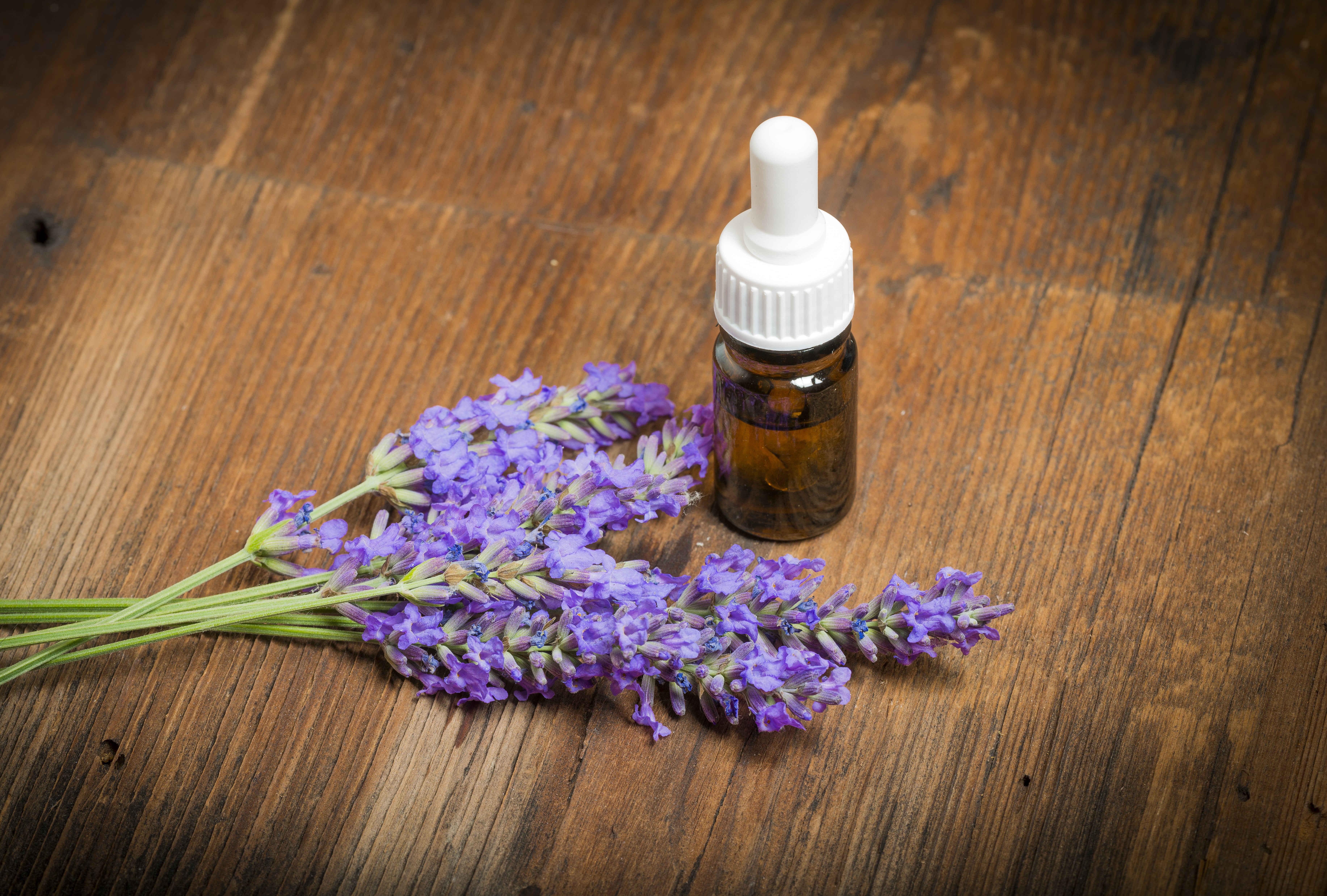 lavender bouquet and essential oil dropper bottle on wood background_61467879_xl