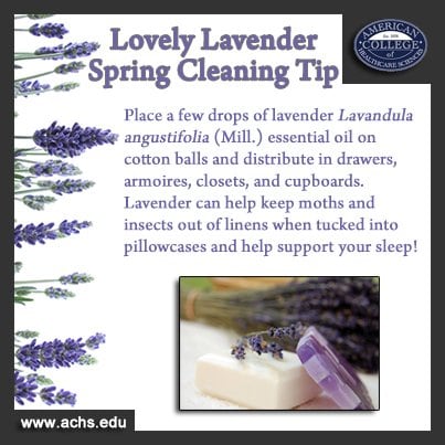 lavender spring cleaning