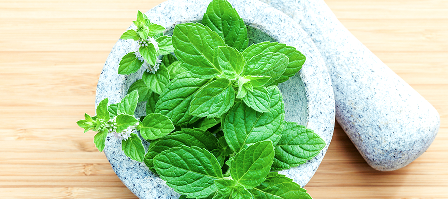 5 Indispensable Herbs to Rock Your Wellness Routine