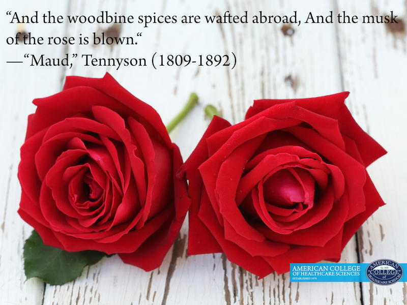 "Maud," Tennyson Rose Quote