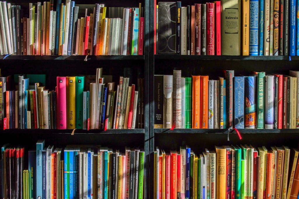 Shelf of library books