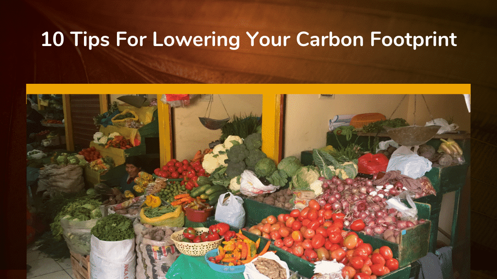 10 Tips For Lowering Your Carbon Footprint