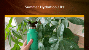 Summer Hydration 101
