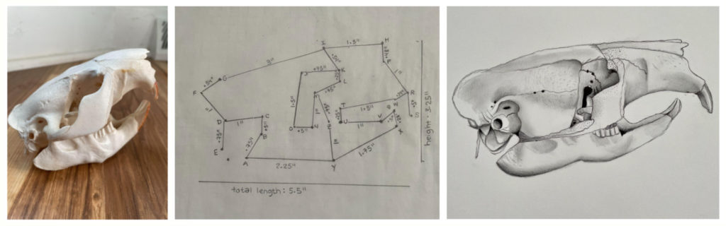 Series of pictures with a skull, match calculations, and final drawing