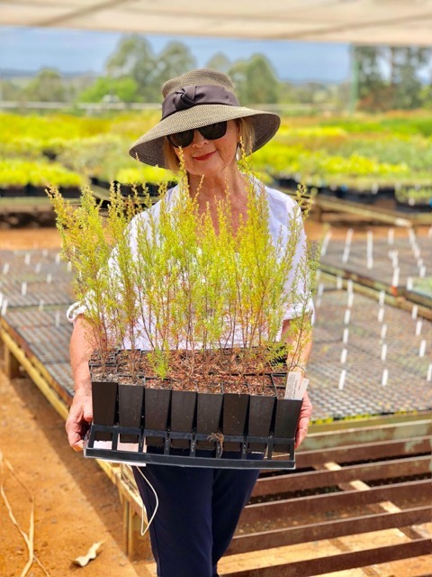 Dorene Petersen pictured on a farm in Australia holding a tray of plants