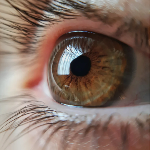 Brown eye closeup