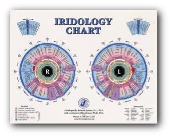 Iridology Chart
