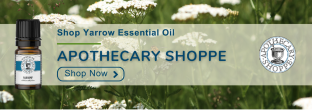 CTA to shop Yarrow Essential Oil at the Apothecary Shoppe