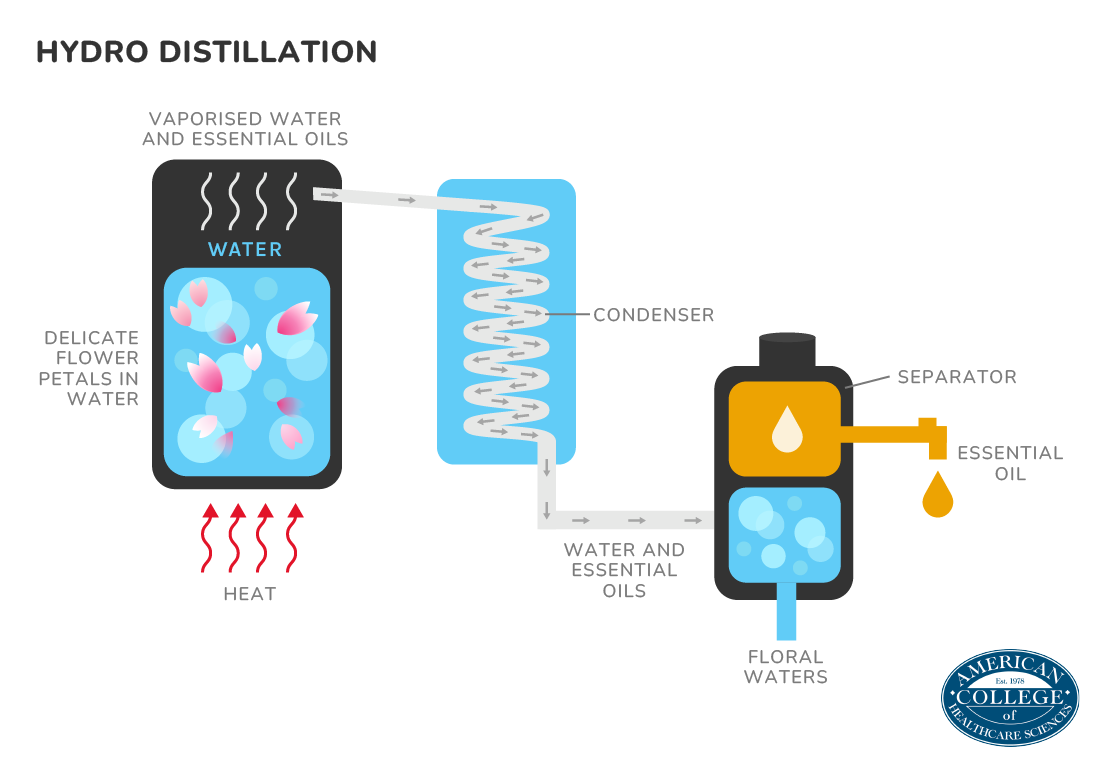 Hydro Distillation infographic