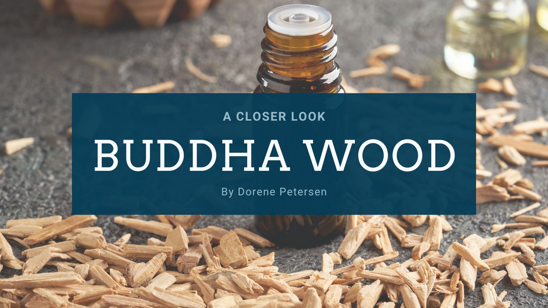 Buddha Wood: A Closer Look | American College of Healthcare Sciences