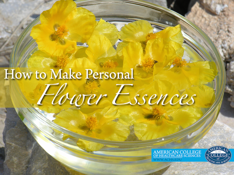 yellow flowers float in a clear glass bowl filled with clear liquid, a step in creating your own flower essences