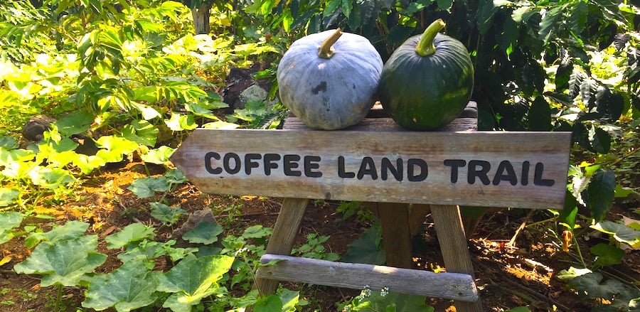 Kona Coffee Living History Farm