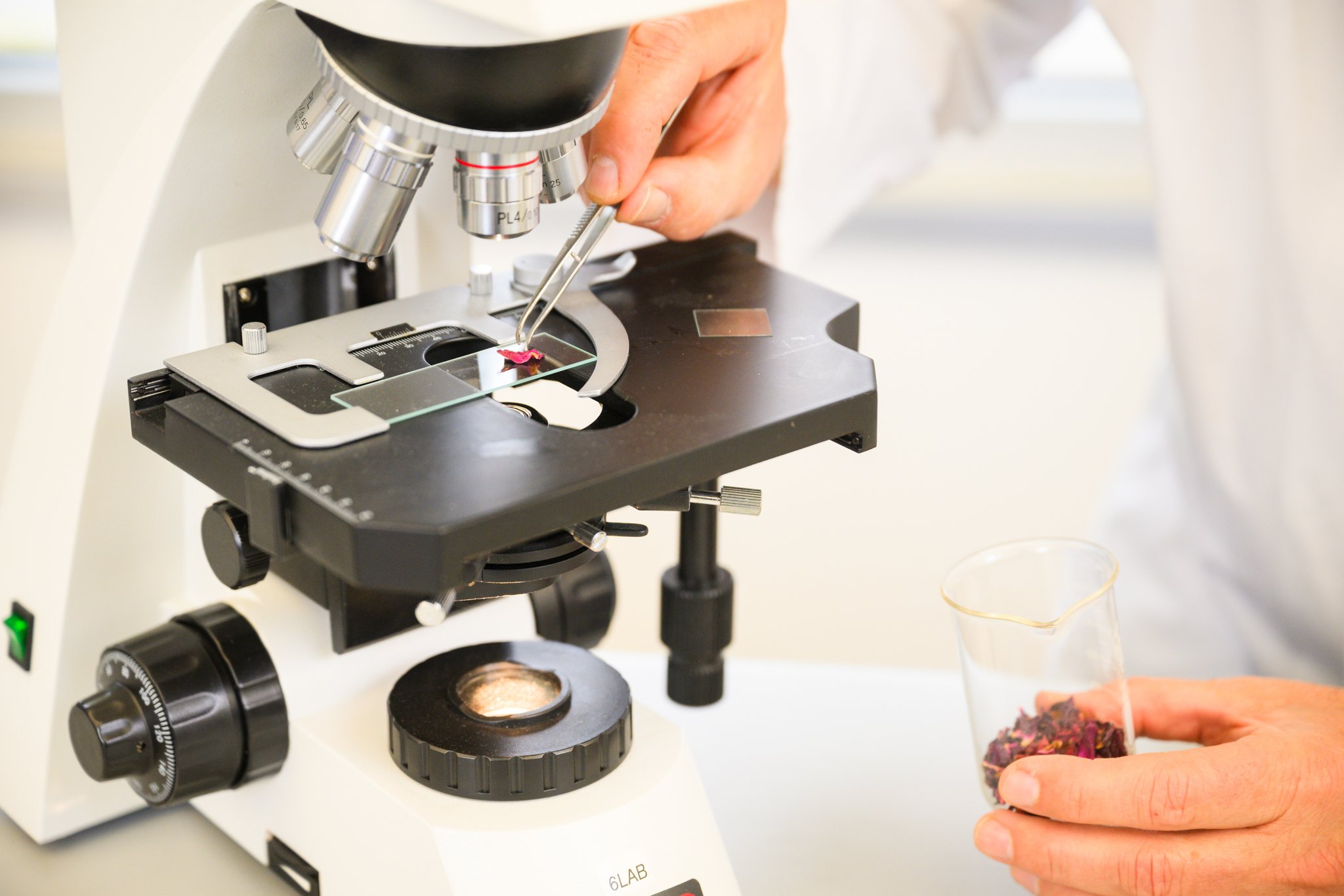 Person examining object under microscope.