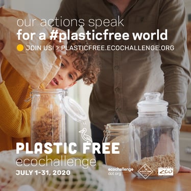 PlasticFree_sq_1