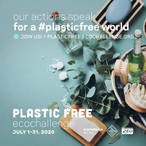 PlasticFree_sq_3