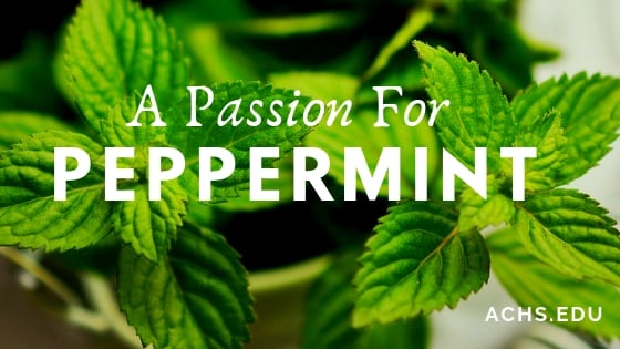 background image of peppermint leaves with white overlaid text saying "a passion for peppermint"