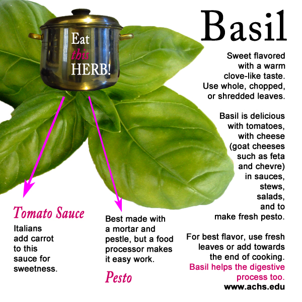 image collage describing basils flavor, how to use it to make pesto and tomato sauce