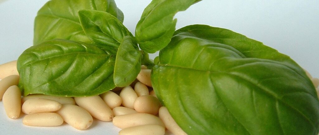 image of basil leaves and whole pieces of garlic together on a table