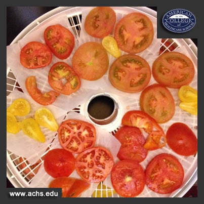 image of tomato slices lying on a dehydrator rack