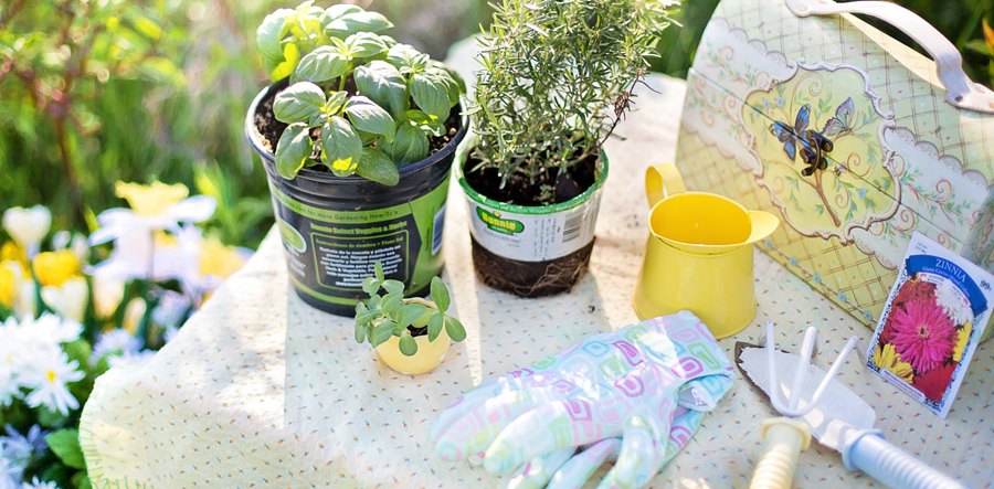 potted herbs and gardening tools sit on an outdoor table together