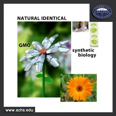 an image collage showing natural versus synthetic biology including representing GMO as a flower with metal petals