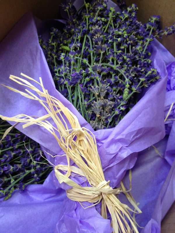 bunch of lavendar sits in a brown box wrapped in purple tissue paper, tied up with straw