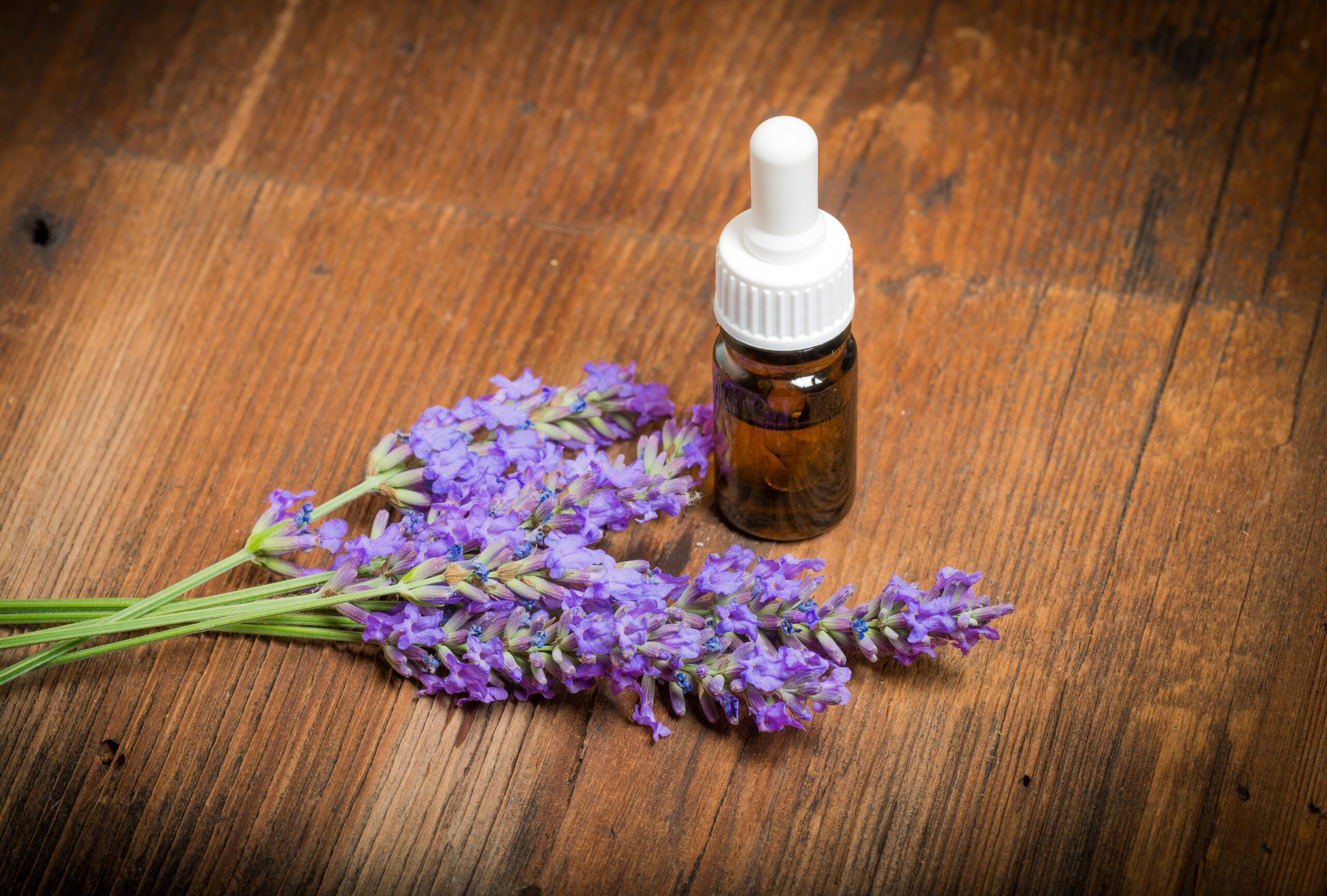 lavender bouquet and essential oil dropper bottle on wood background_61467879_xl