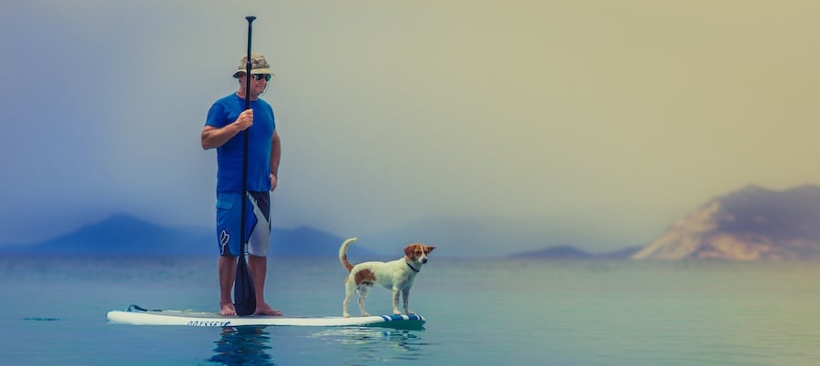 dad on paddle board with dog