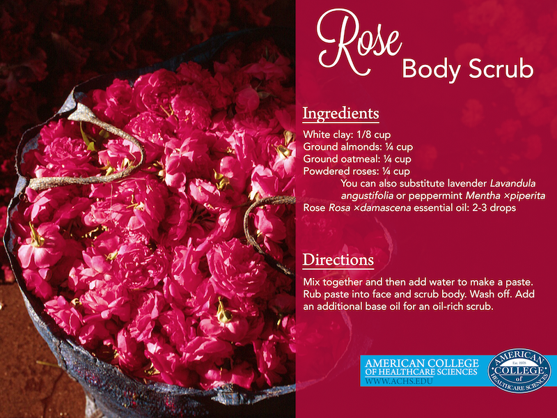 Rose Essential Oil Body Scrub