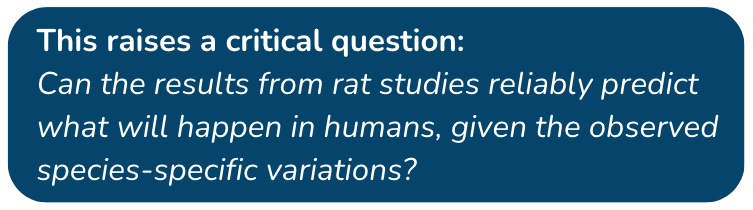 This raises a critical question: Can the results from rat studies reliably predict what will happen in humans, given the observed species-specific variations? 