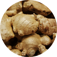 ginger root